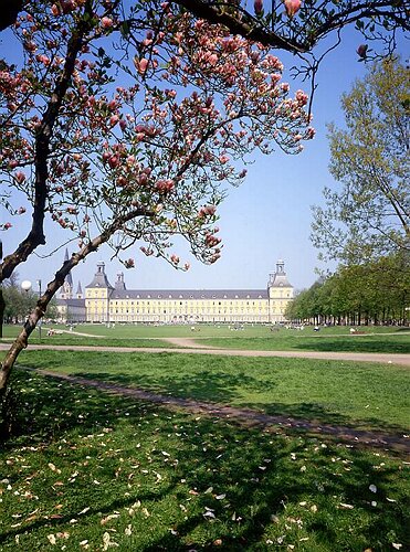 Hofgarten mit Magnolien.jpg